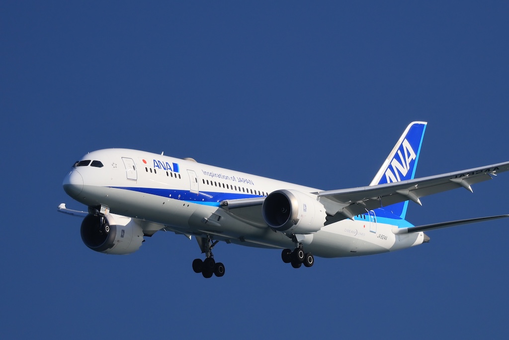 ANA787