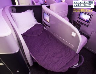 NZ_bed