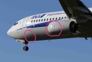 地面からの高さが低い737では、エンジン側面や胴体側面に運転中のエンジンに近づかないようにという警告マークがついている。