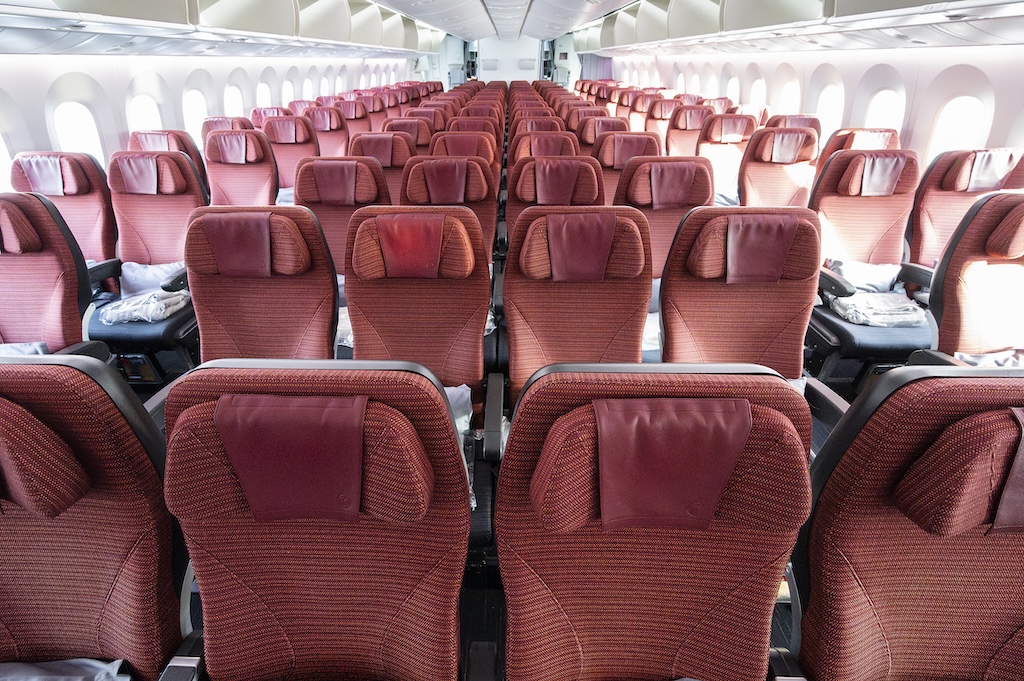 JAL 787_Y