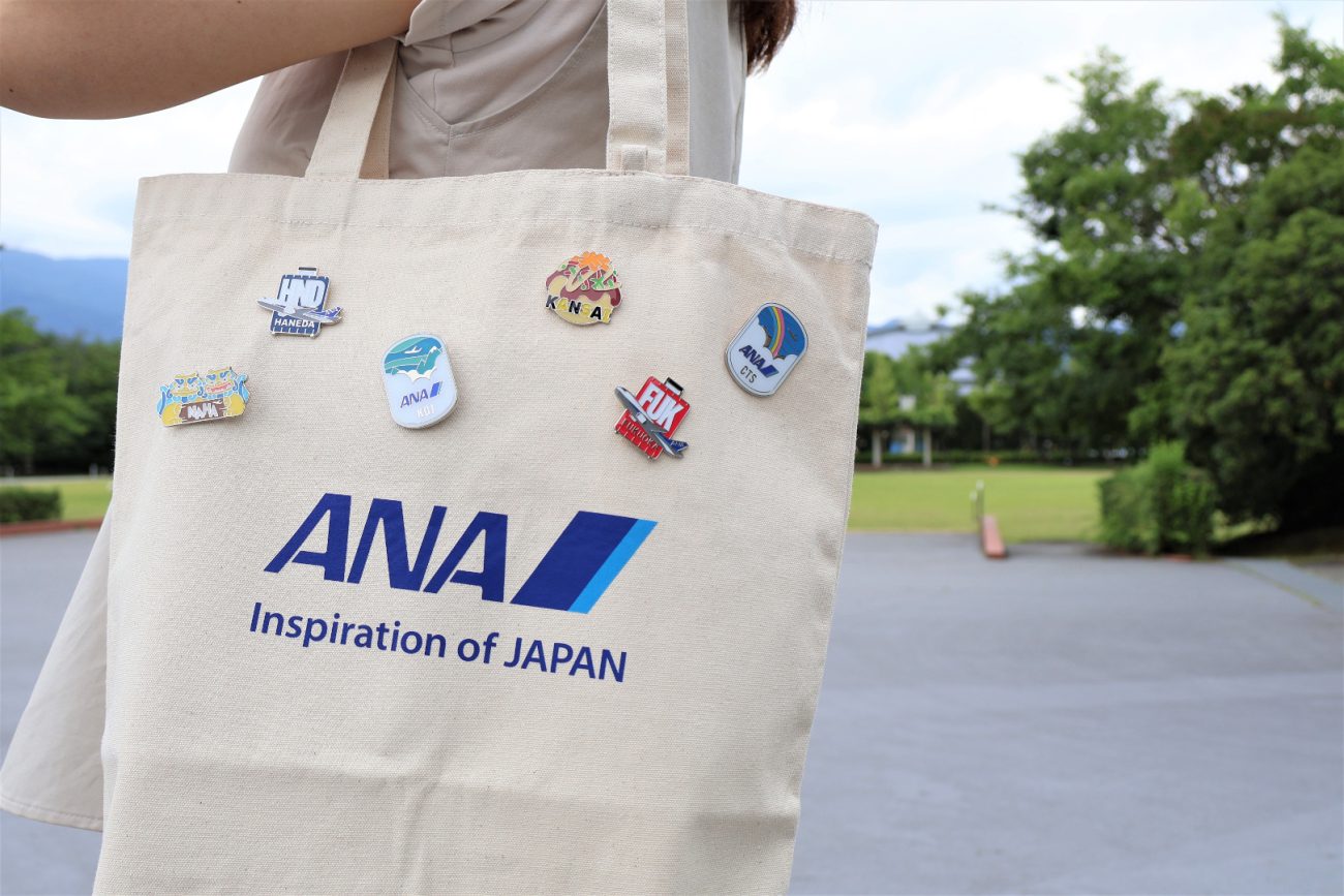 ANA ピンズセット使用例。