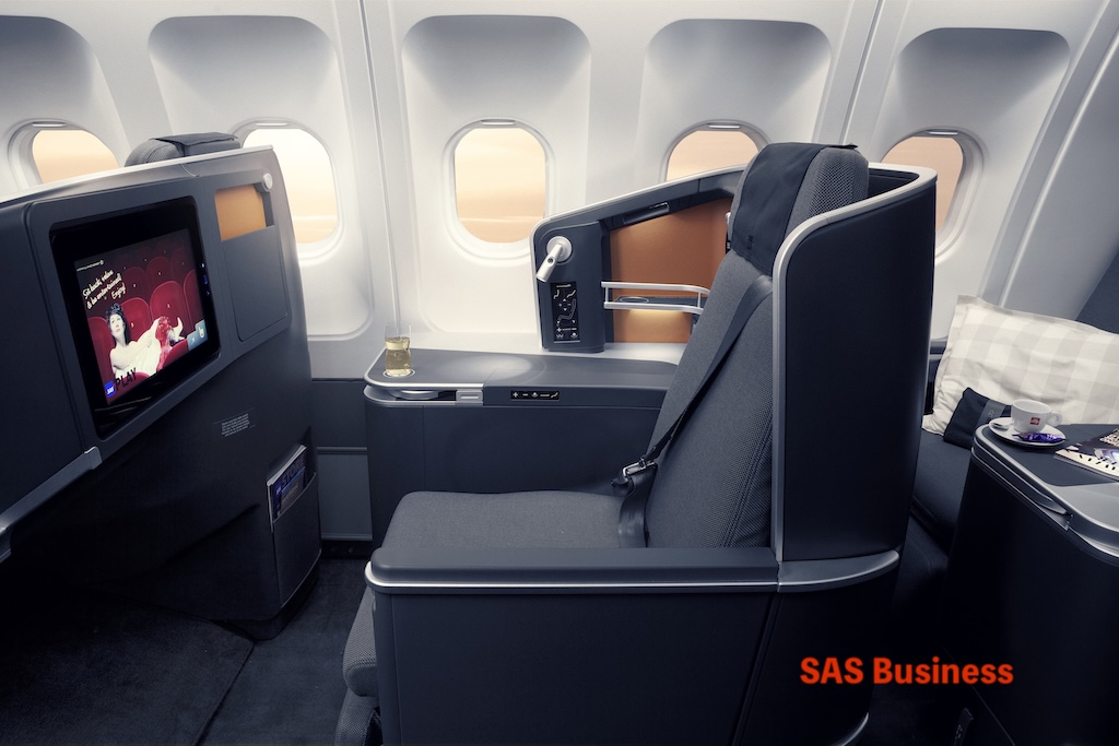 SAS business