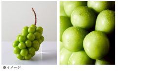 オプショナルサービスに登場したシャインマスカット