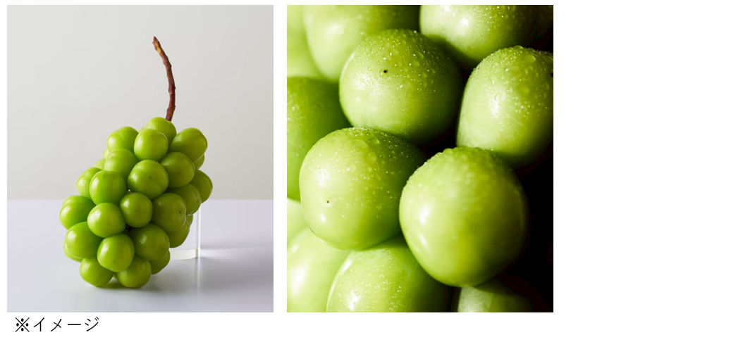 オプショナルサービスに登場したシャインマスカット