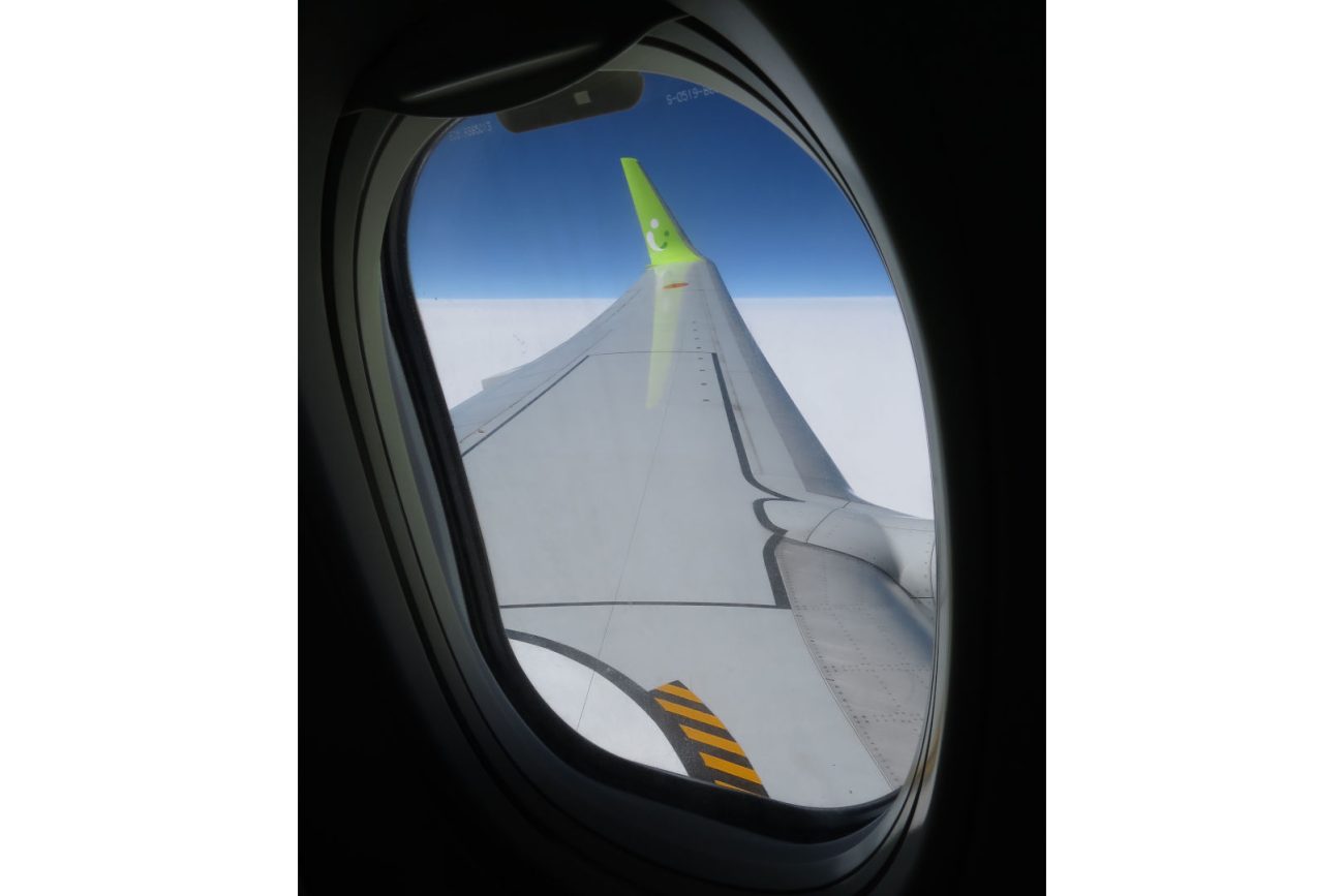 737NGの主翼にも黒いラインがあるが、これは他の旅客機と違ってCSFFの許容範囲を示している。