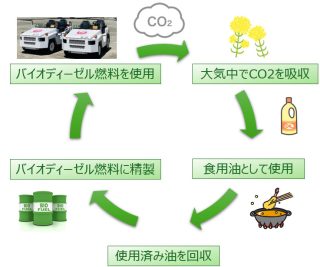 原料となる植物が成長する過程でCO2を吸収していることから、カーボンニュートラルが成り立つ。