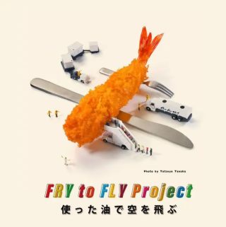 Fry to Fly Project