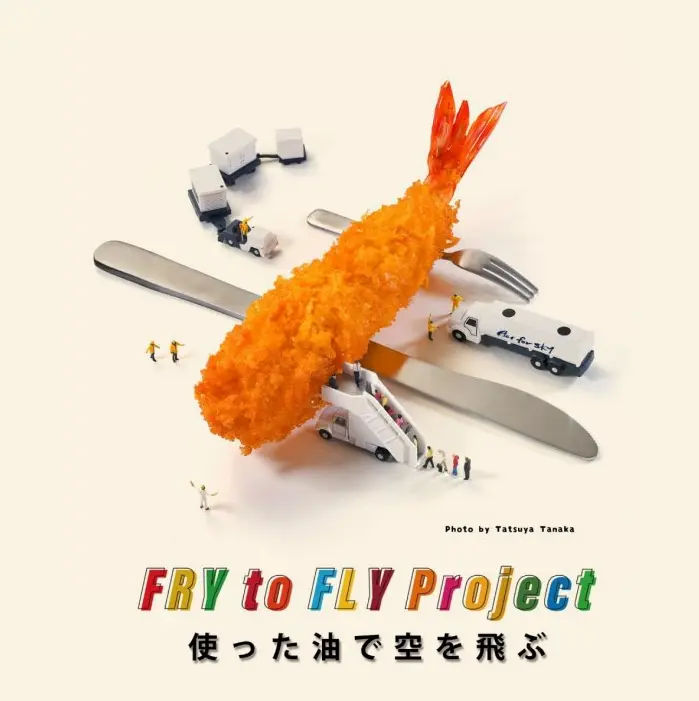 Fry to Fly Project