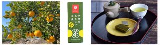 夏季限定の伊勢茶あまなつ羊羹