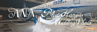 ANA Blue Hangar Wedding Photo