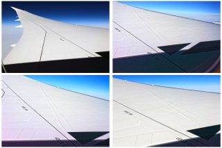 ボーイング787の主翼上面は平坦で凹凸がないが、とこに長く伸びる影が写っている。