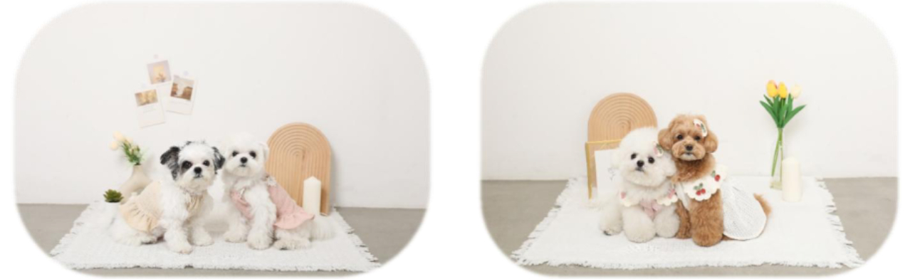 「monchéri POPUP STORE」